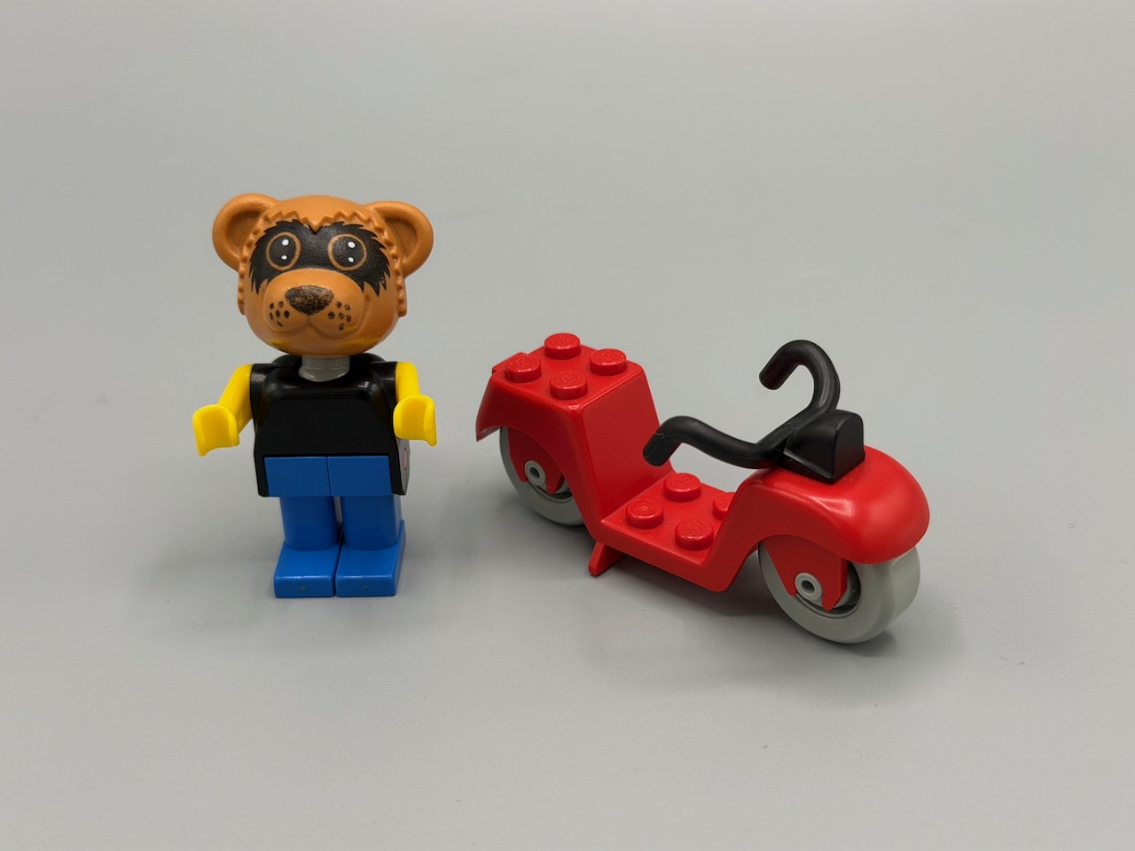 Ricky Raccoon and his Scooter